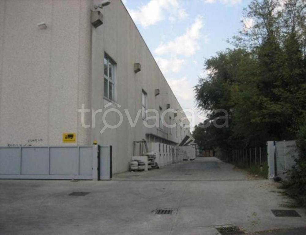 immagine annuncio 2 di 4