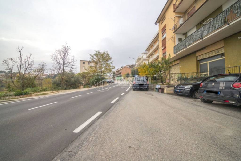 immagine annuncio 11 di 14