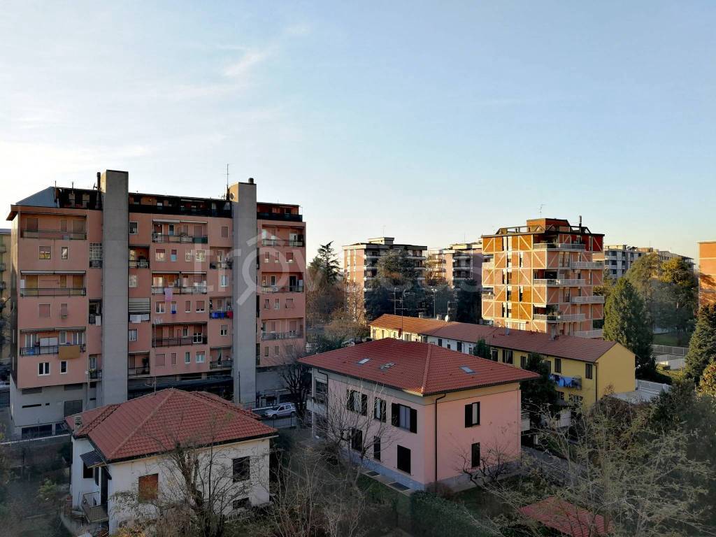 immagine annuncio 9 di 13