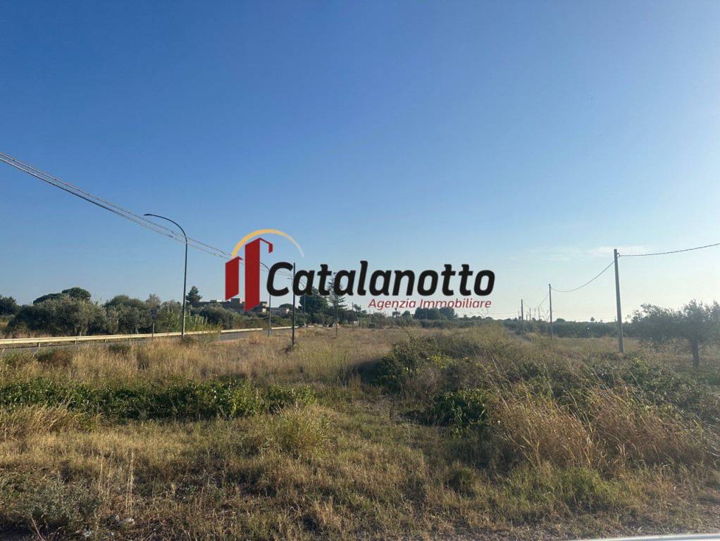 immagine annuncio 5 di 7