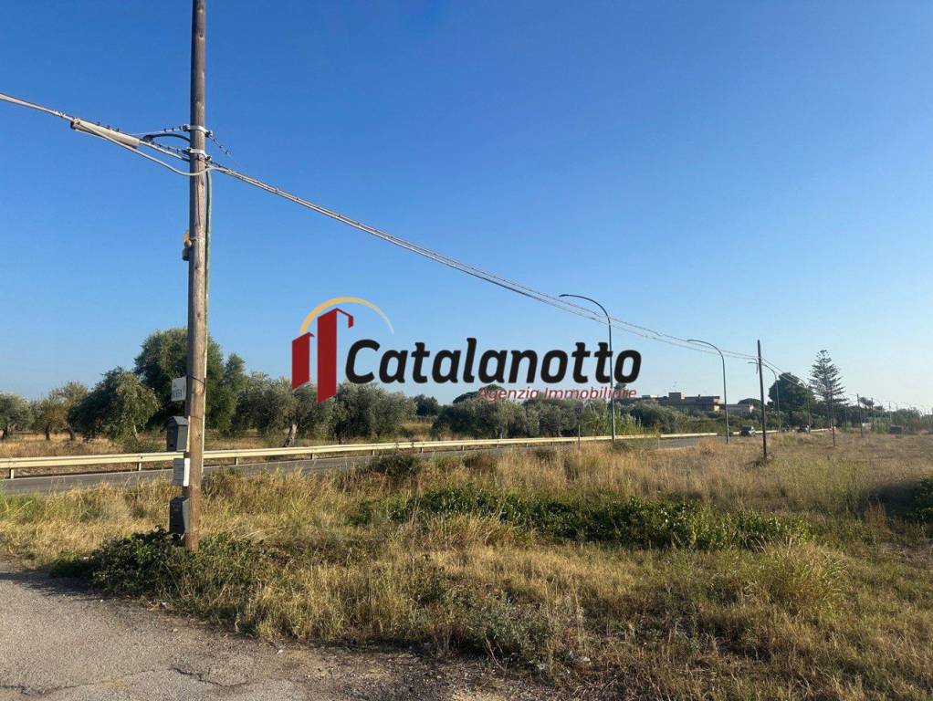immagine annuncio 6 di 7