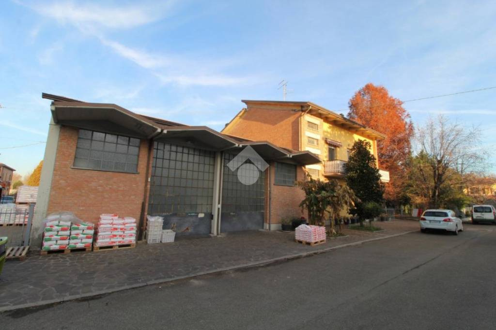 immagine annuncio 5 di 15