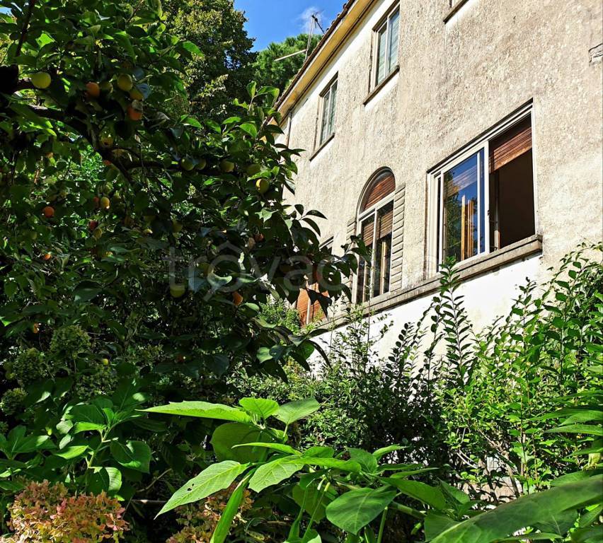 Villa in vendita ad Albano Laziale via Pompeo Magno