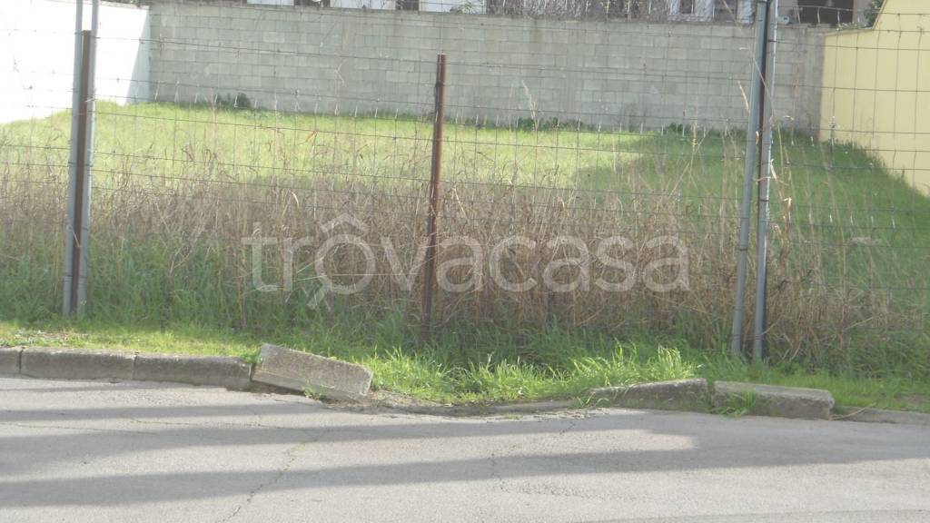 immagine annuncio 4 di 7