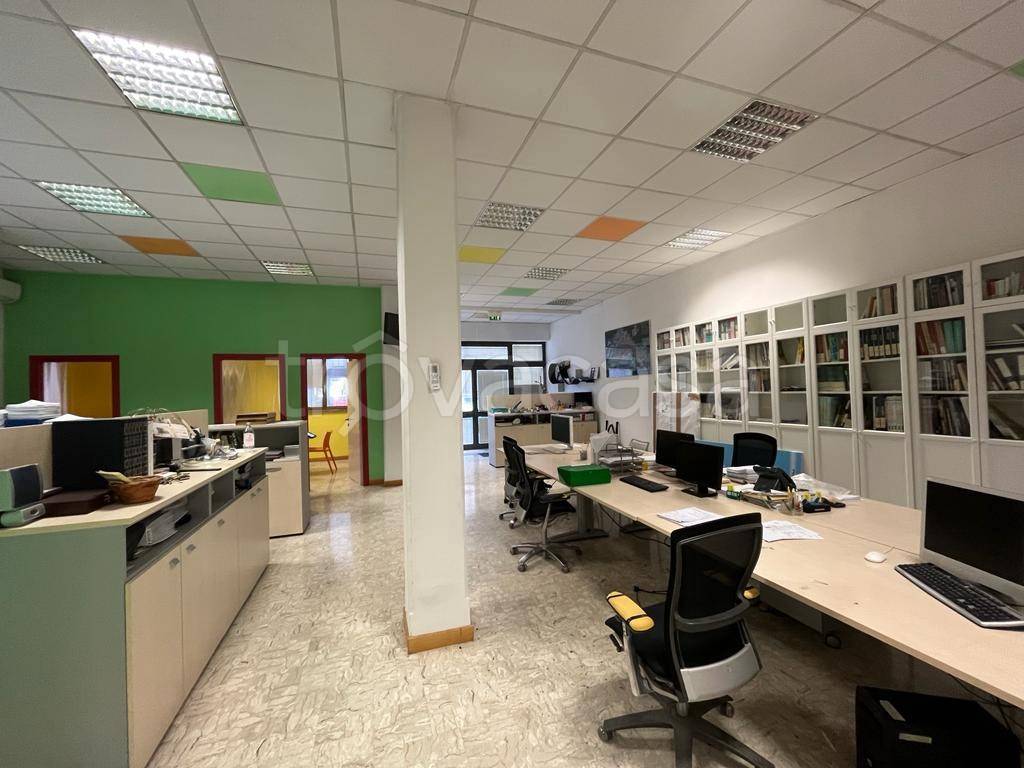 immagine annuncio 3 di 11