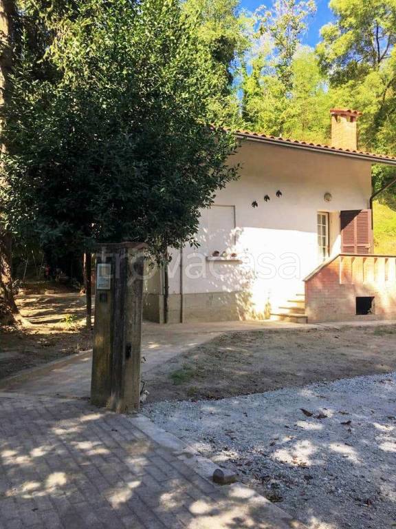 immagine annuncio 4 di 8