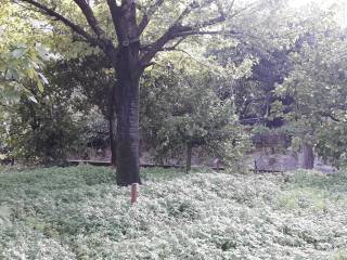 Terreno agricolo in affitto a sant'egidio del monte albino via mandrino