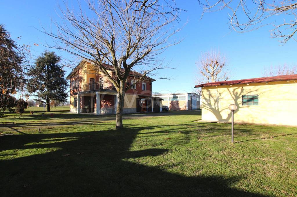immagine annuncio 2 di 15
