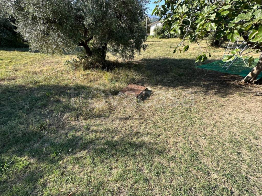 immagine annuncio 6 di 11