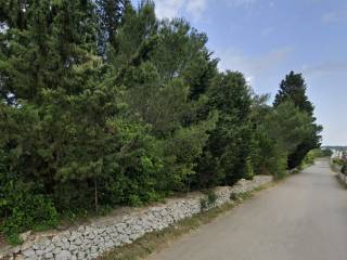 Terreno agricolo in vendita a martina franca strada porcile zona f