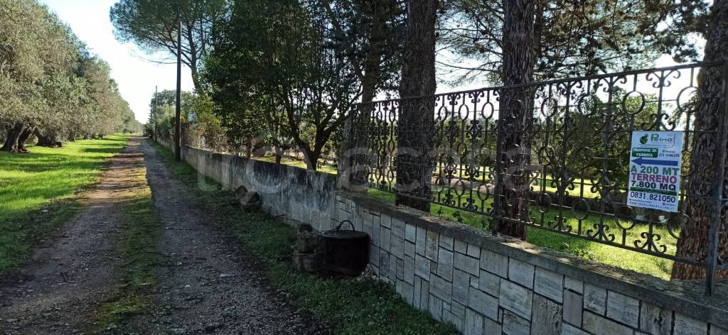 immagine annuncio 1 di 6