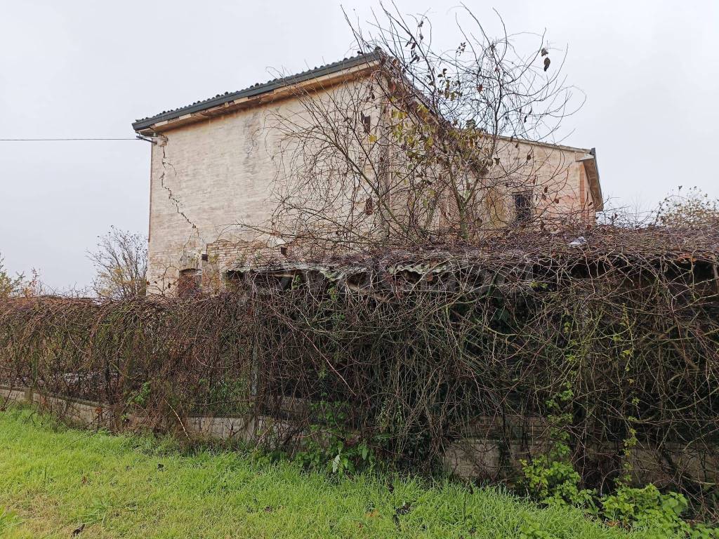 immagine annuncio 8 di 12