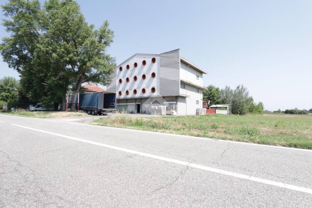 Capannone Industriale in vendita a Bassignana strada provinciale valenza pontecurone, 5