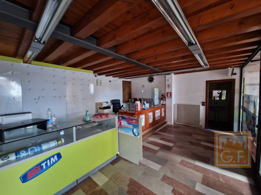 immagine annuncio 1 di 14