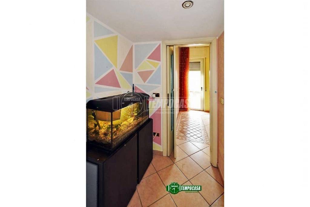 immagine annuncio 6 di 12
