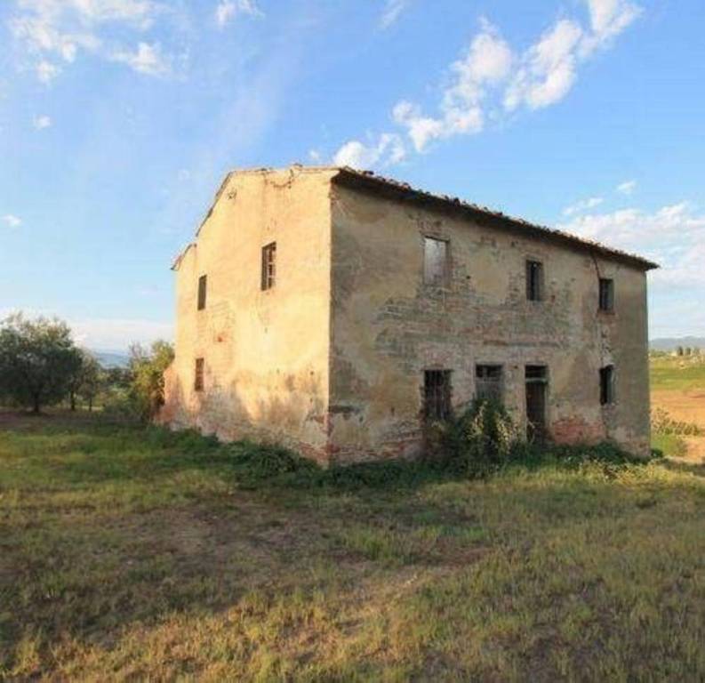 immagine annuncio 5 di 8