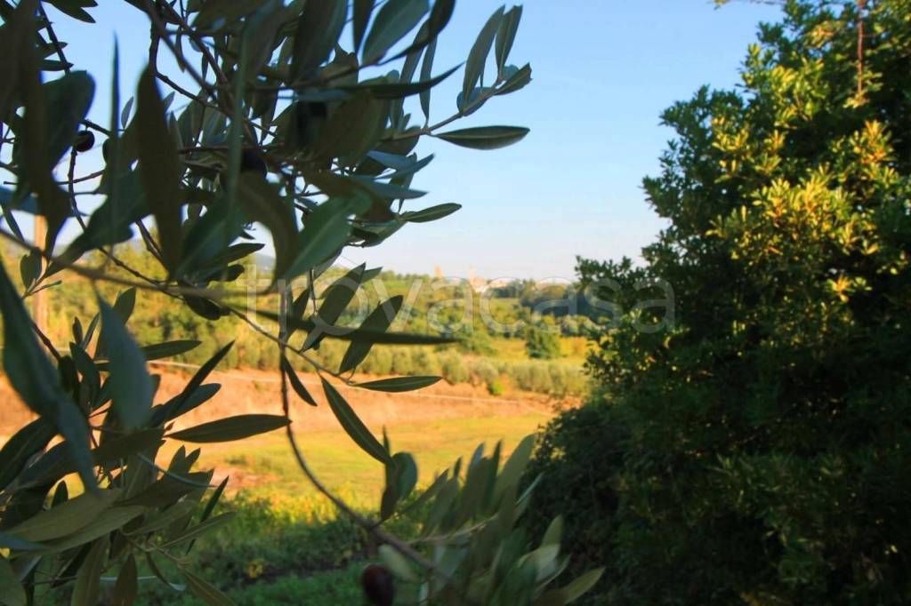 casa indipendente in vendita a Vinci in zona Sovigliana