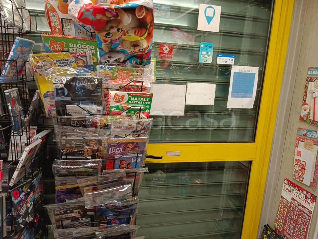 immagine annuncio 7 di 14