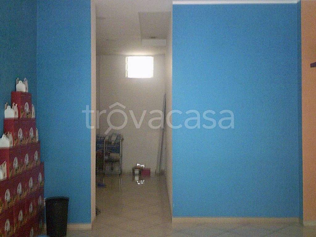 immagine annuncio 7 di 11