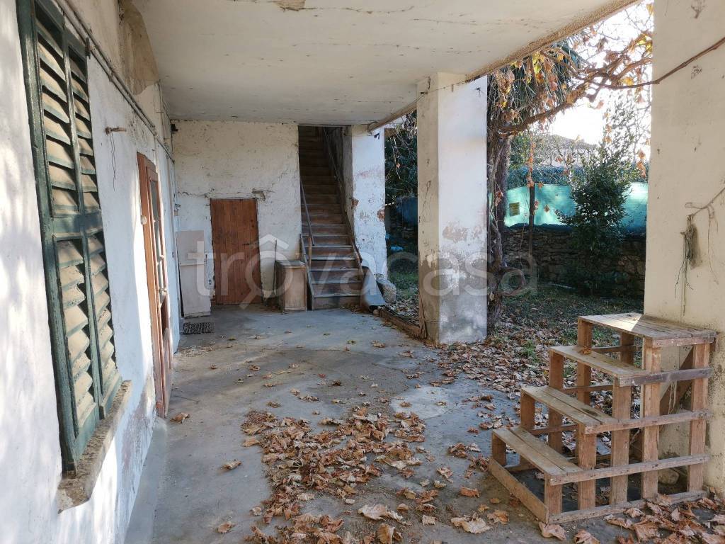 immagine annuncio 2 di 12