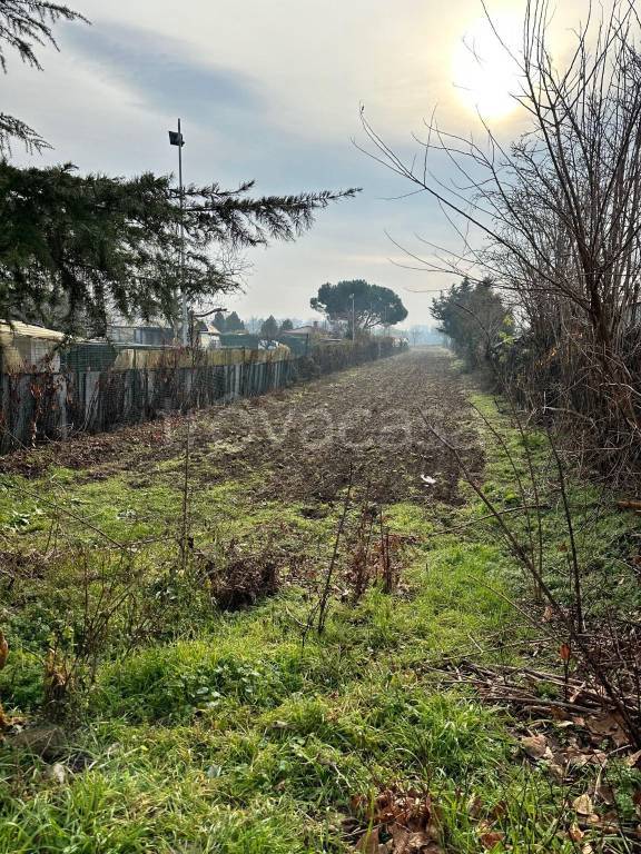 immagine annuncio 1 di 7