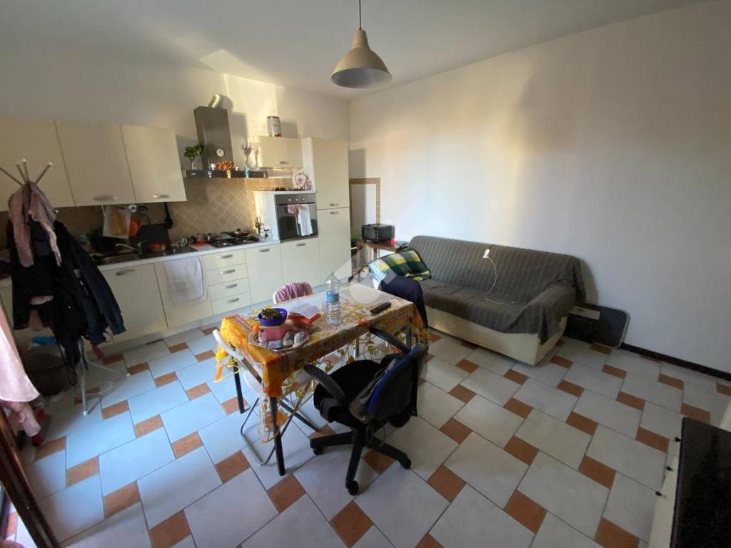 immagine annuncio 6 di 14
