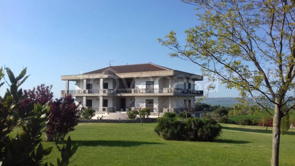 Villa Bifamiliare in in vendita da privato a Spinazzola sp230