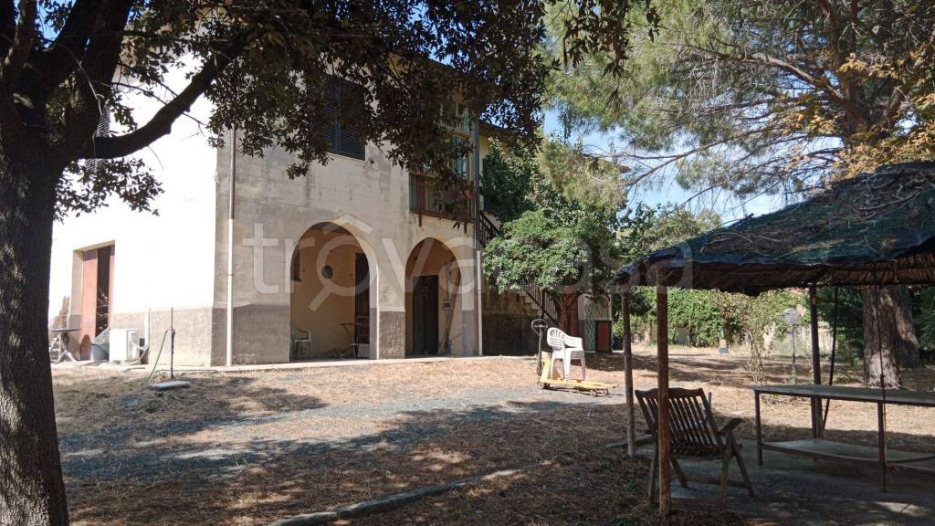immagine annuncio 2 di 8