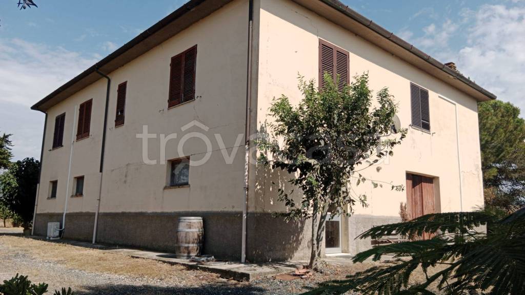 immagine annuncio 6 di 8