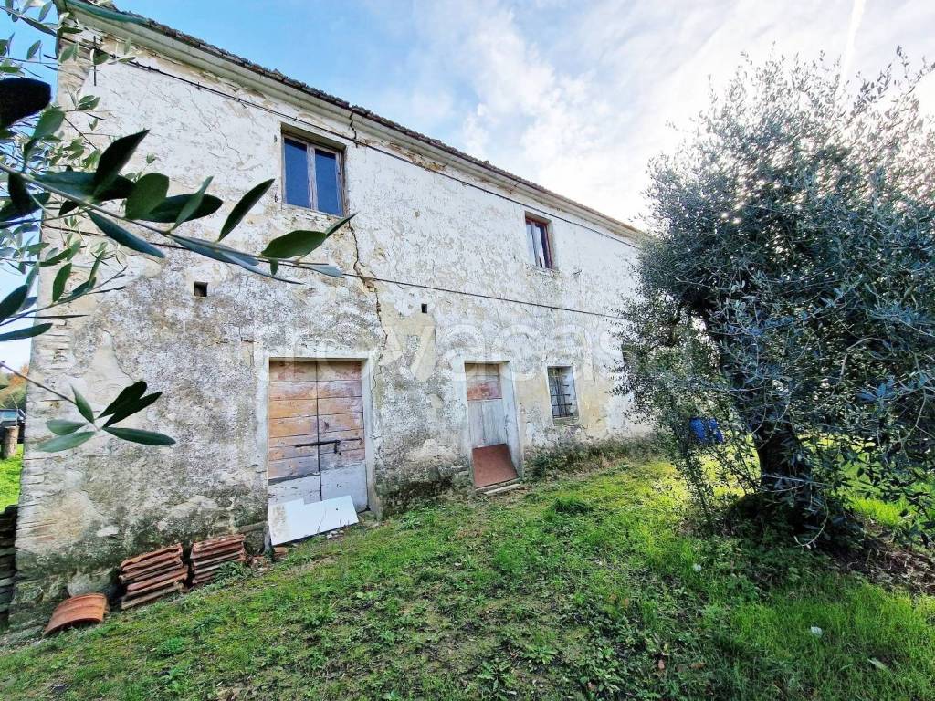 immagine annuncio 5 di 14