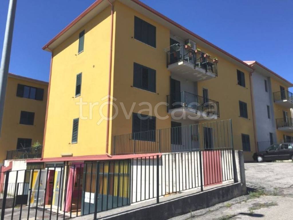 immagine annuncio 11 di 12