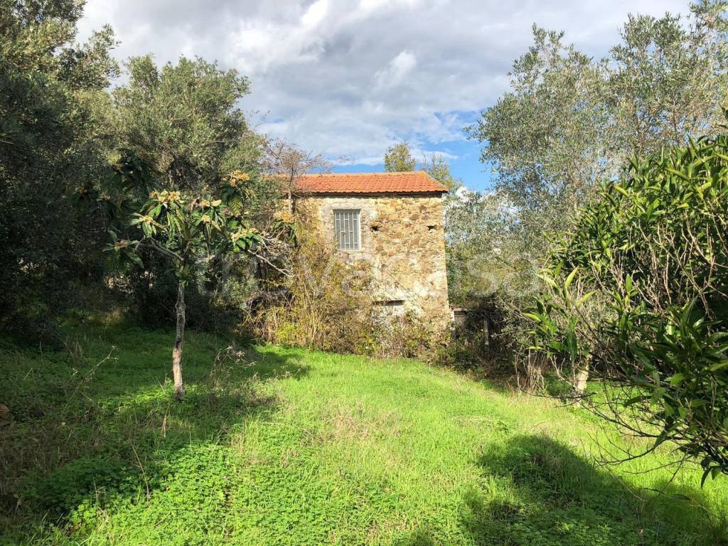 immagine annuncio 2 di 14
