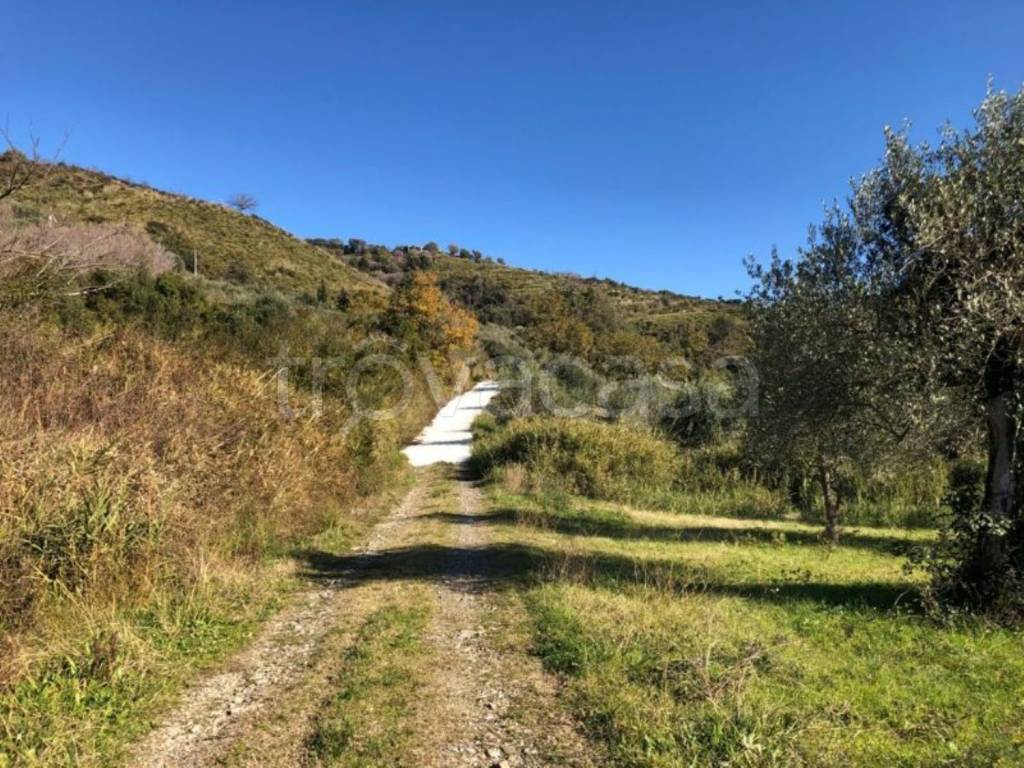 immagine annuncio 5 di 8