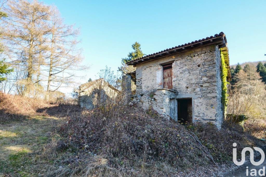 immagine annuncio 4 di 12