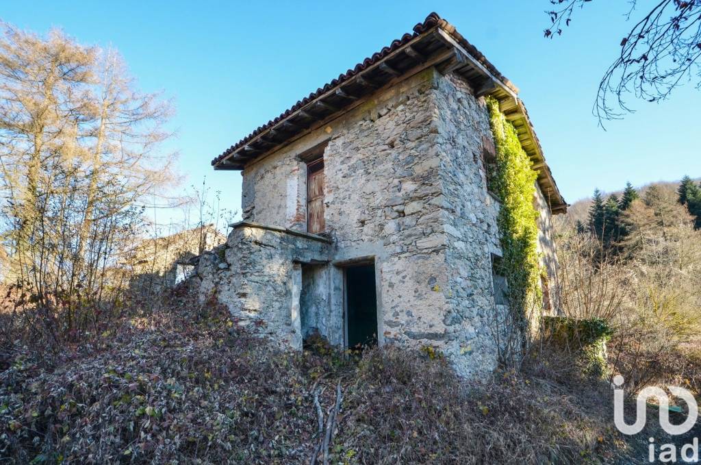 immagine annuncio 5 di 12