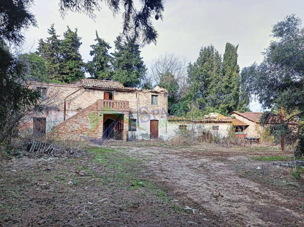 immagine annuncio 3 di 7