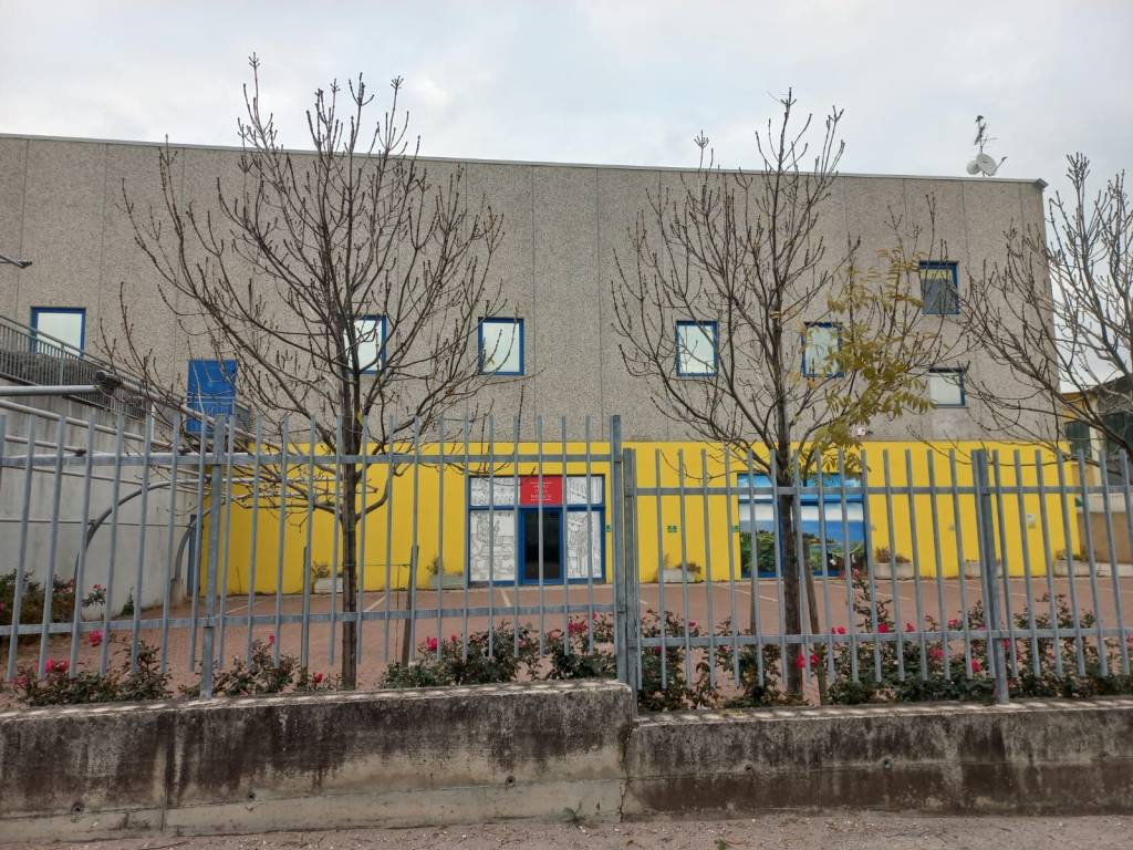immagine annuncio 3 di 15