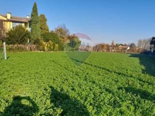 Terreno residenziale in vendita a casalserugo 