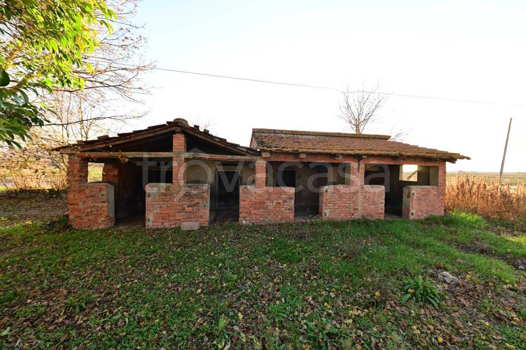 immagine annuncio 11 di 14