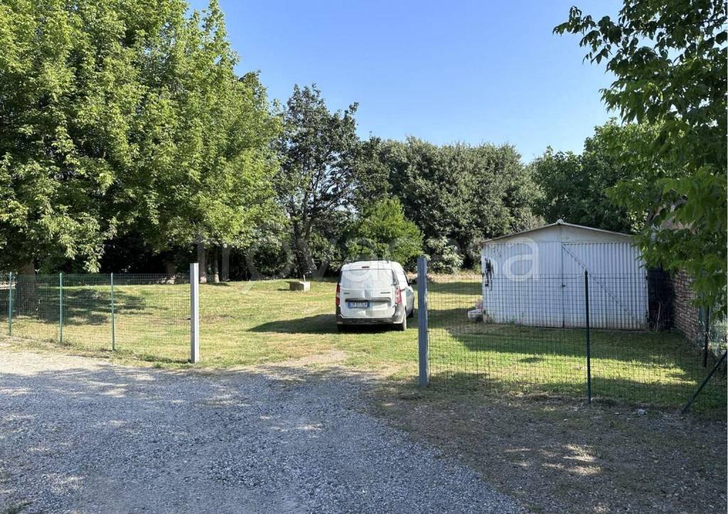 immagine annuncio 2 di 11