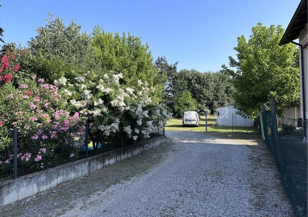 immagine annuncio 1 di 11