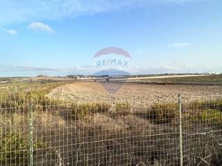 Terreno agricolo in vendita a noto contrada morsentini