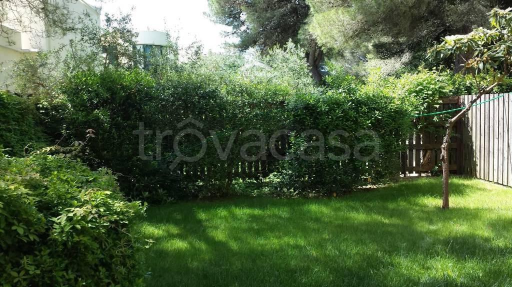 immagine annuncio 4 di 14