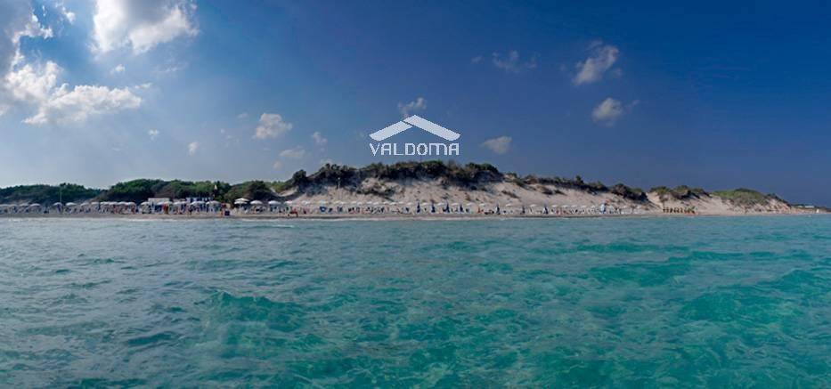 immagine annuncio 12 di 14