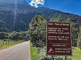 immagine annuncio 4 di 14