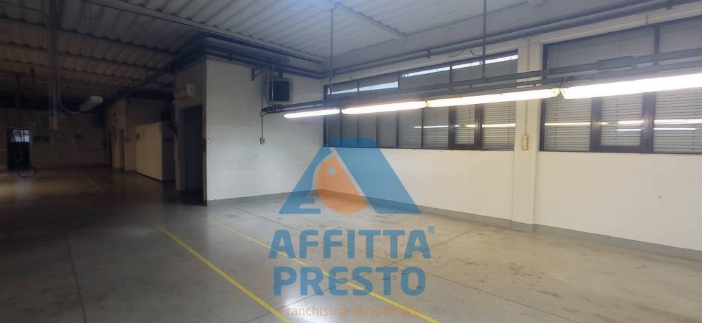 immagine annuncio 3 di 14
