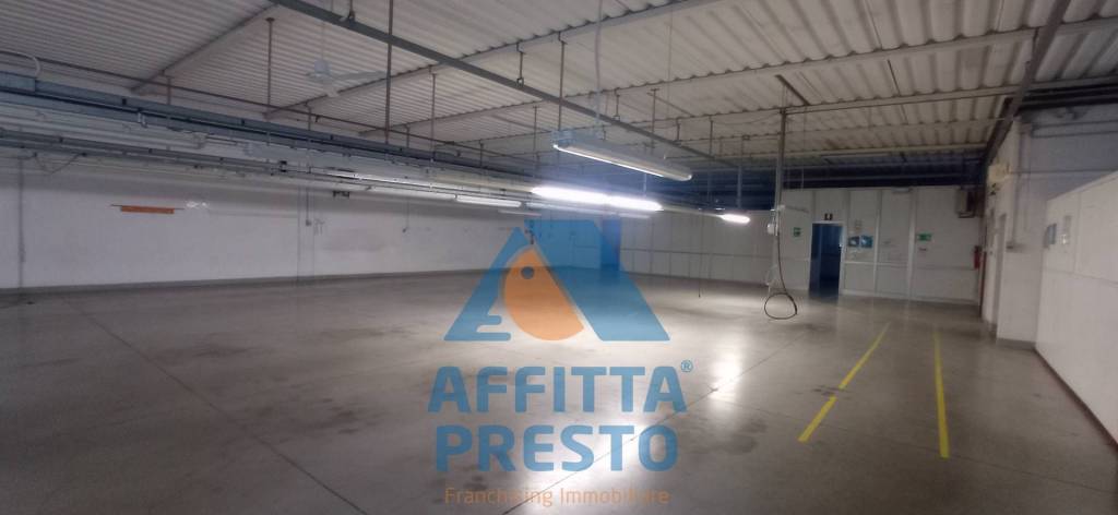 immagine annuncio 4 di 14