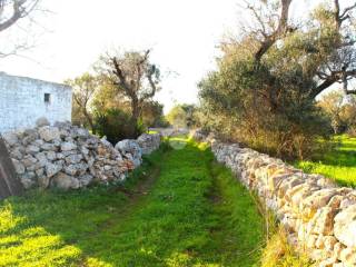 Terreno agricolo in vendita a carovigno contrada colacavallo