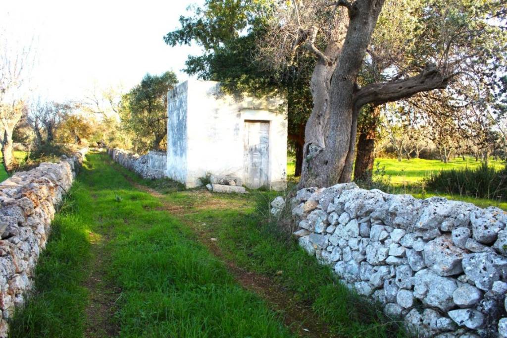 immagine annuncio 7 di 13