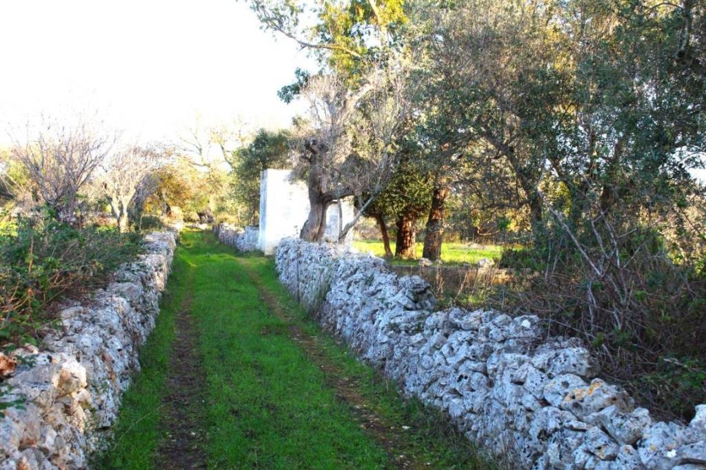 immagine annuncio 8 di 13
